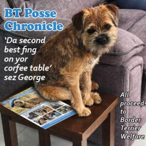 Chronicle coffee table George bthooligan