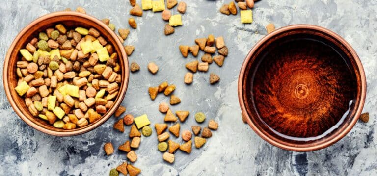 Photo inspiration: Grain Free Gluten Free Kibble Cold Pressed Food Photo Inspiration
